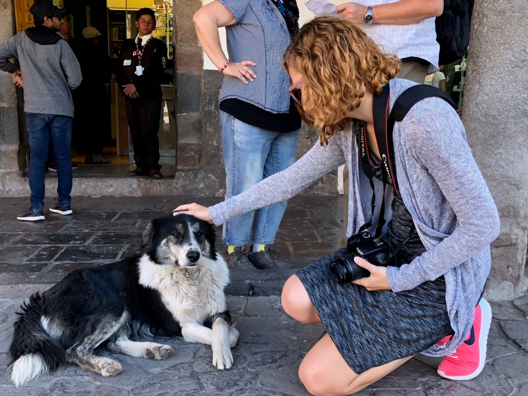 1D861CD6-FD28-49B1-8EEF-9C049DCDCB0D