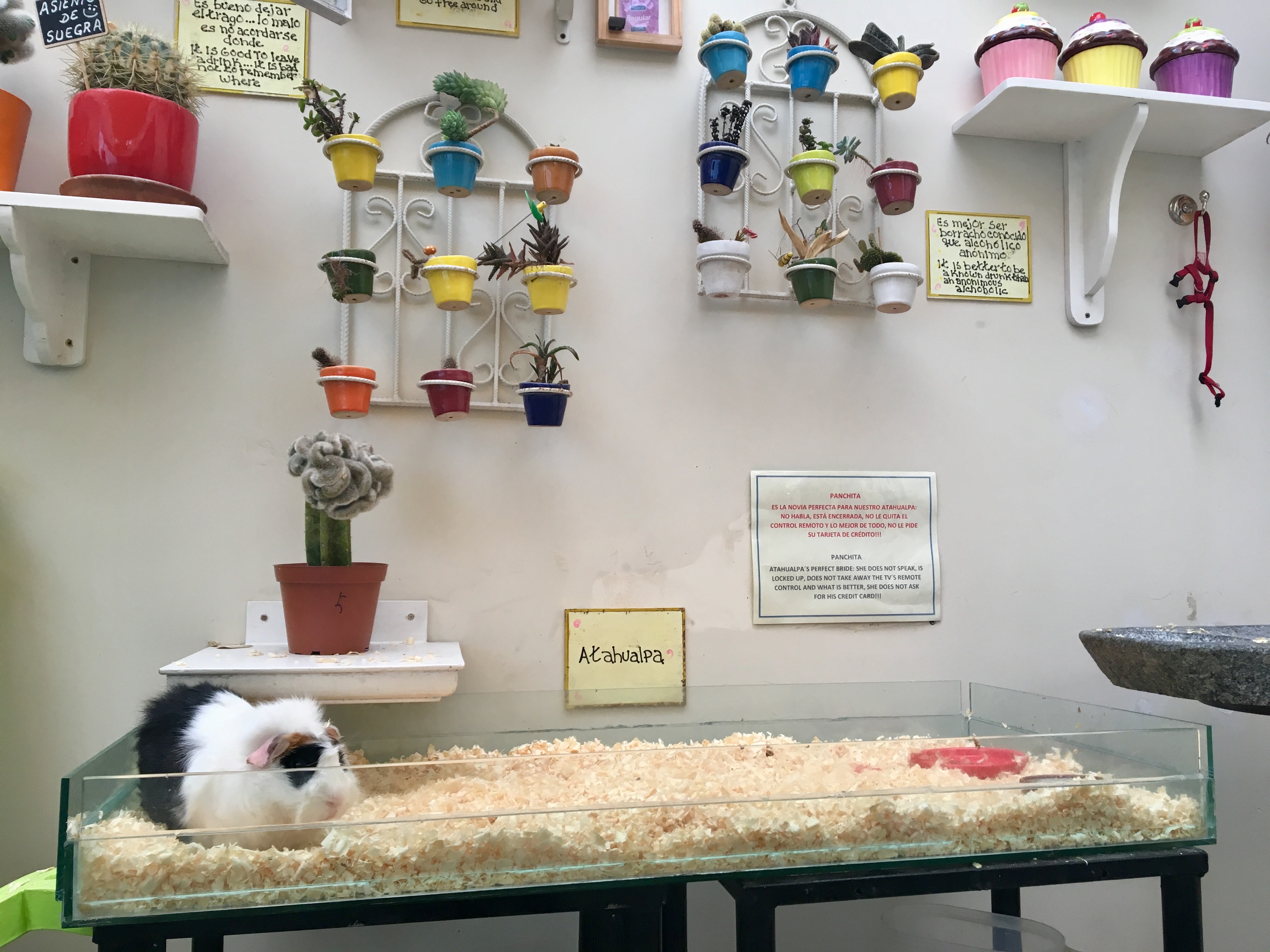 32779B4E-DEC9-483B-BAEF-91599DD3577D